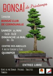 25 et 26 mai 2019 à Quimper